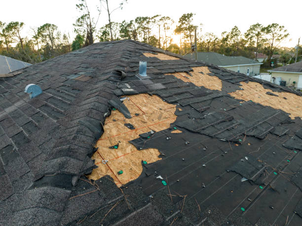 Best Roof Moss and Algae Removal  in Northbrook, OH